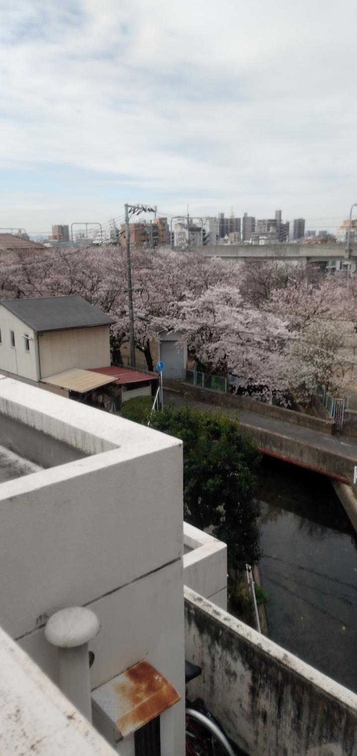 Cherry Blossom Koseicho Apartment in Japan