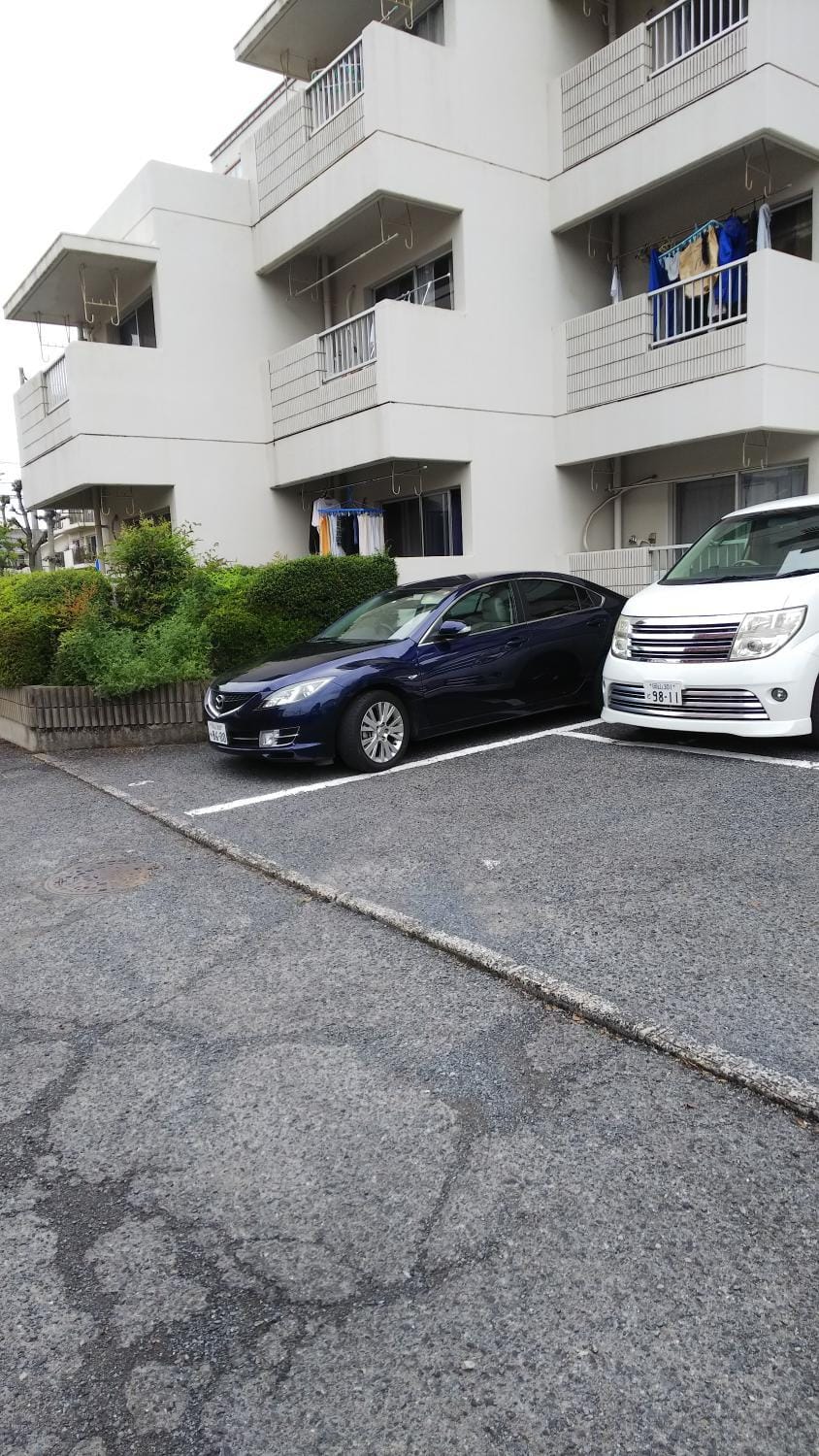 Cherry Blossom Koseicho Apartment in Japan