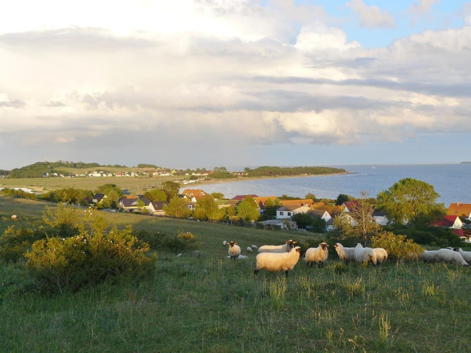 Neighbourhood, Natural landscape, Hiking