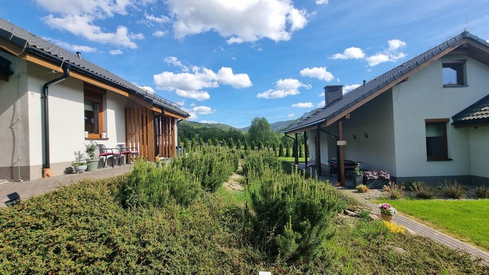 Natural landscape, Garden, Garden view