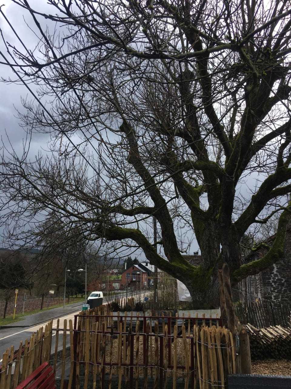 B&B De Notelaar Bed and Breakfast in Wallonia, Belgium