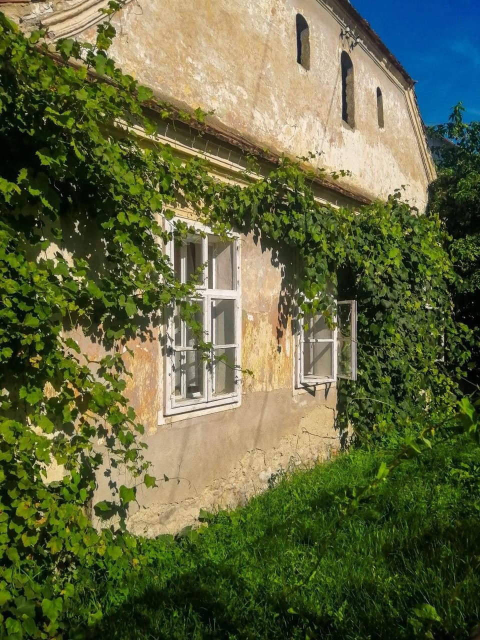 Gästehaus Fogarasch Hostel in Brașov County