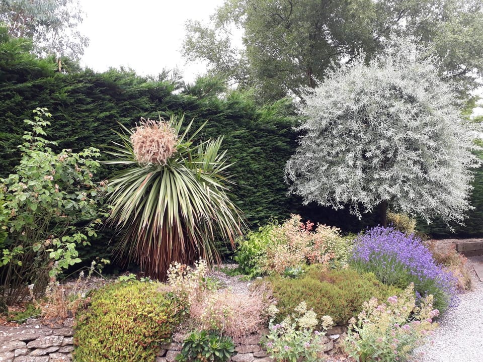 Stoneleigh Barn Bed and Breakfast Bed and Breakfast in South Somerset District