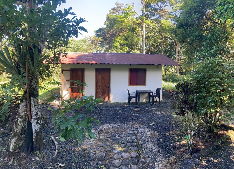Property building, Day, Garden, Garden view