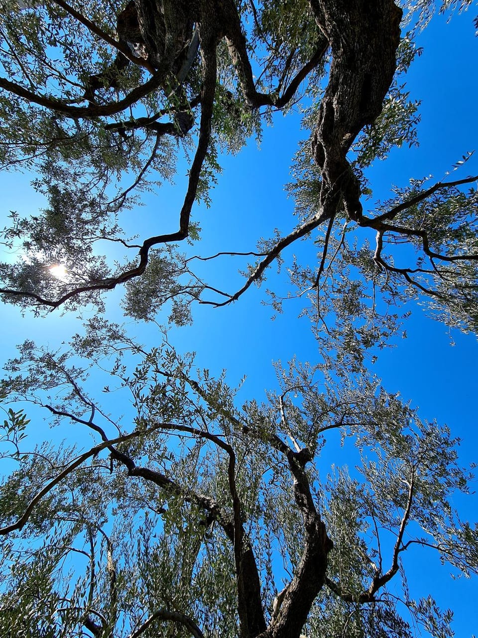 Natural landscape