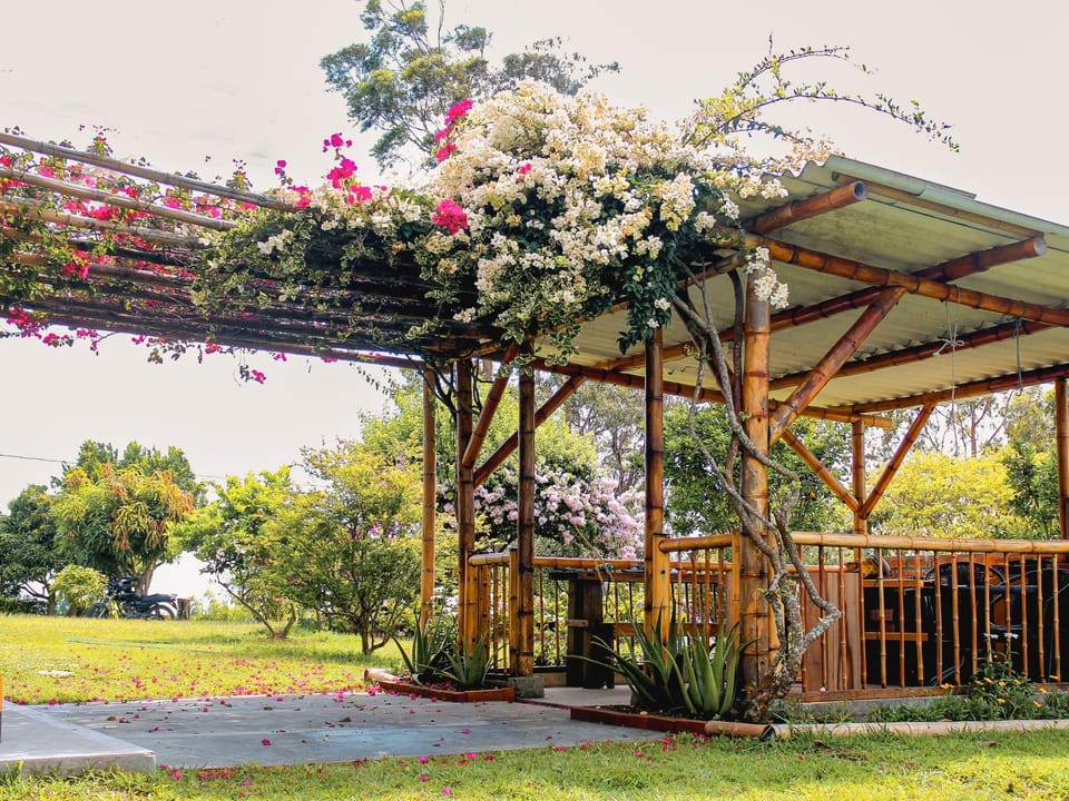 Property building, Spring, Garden, kitchen