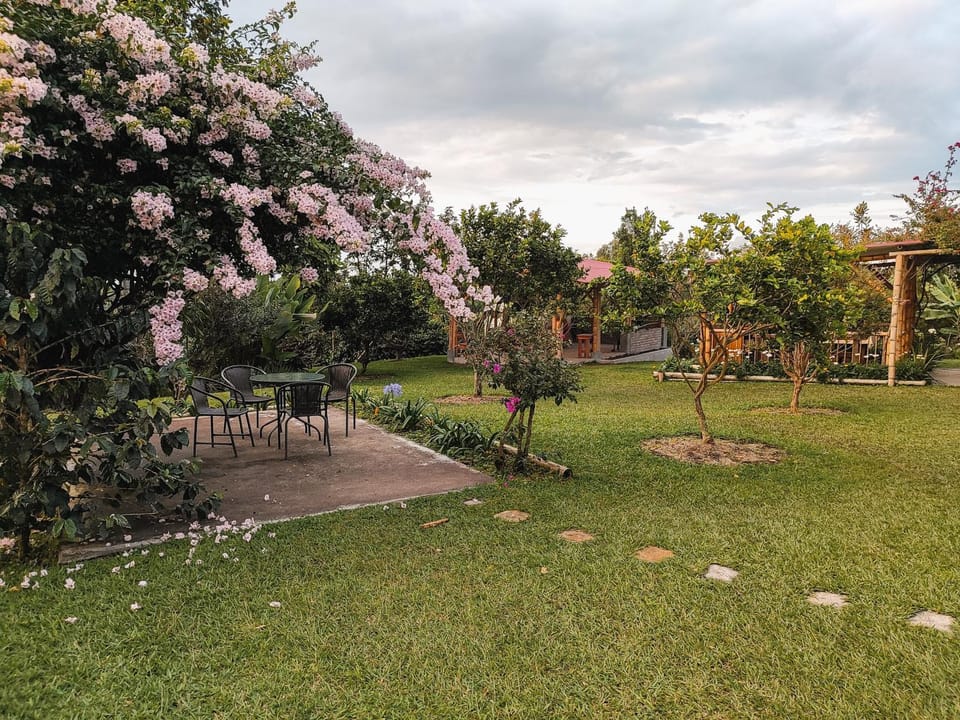 Garden, Balcony/Terrace
