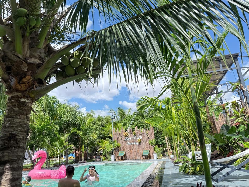 Swimming pool, Swimming pool
