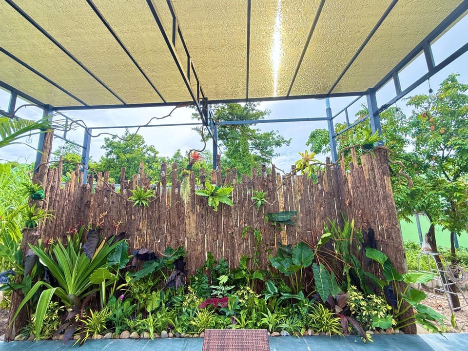 Garden view