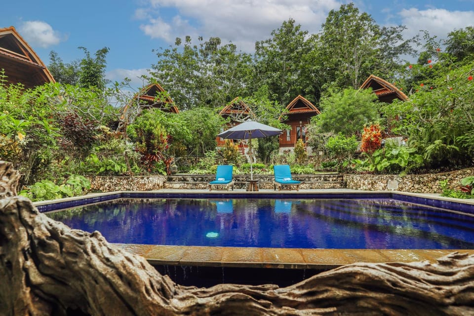 Garden, Swimming pool, Swimming pool