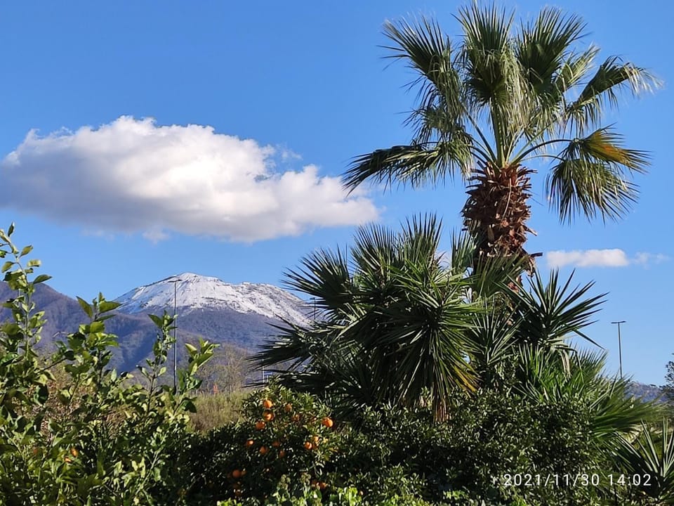 Antoniet Bed and Breakfast in Naples