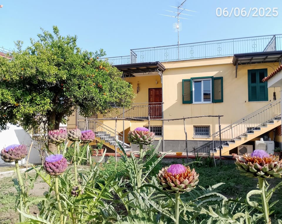Antoniet Bed and Breakfast in Naples
