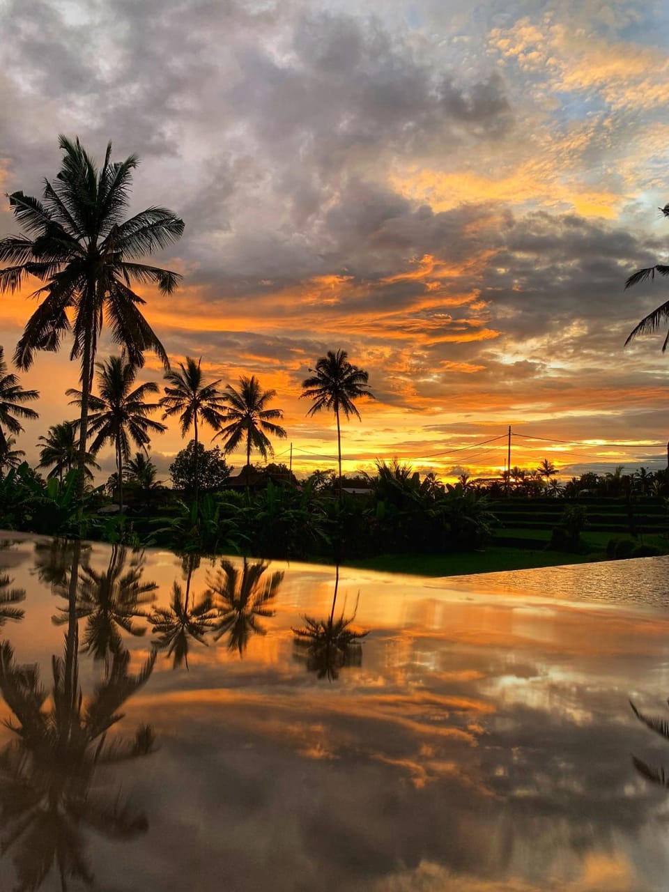 Pool view