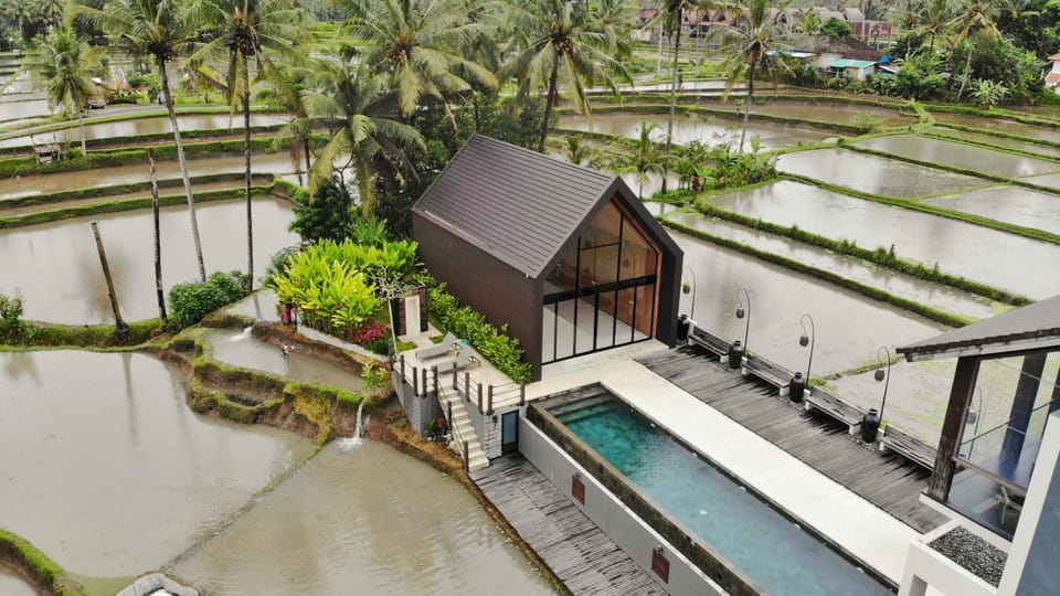 Property building, Bird's eye view, Garden, Garden view, Pool view, Swimming pool
