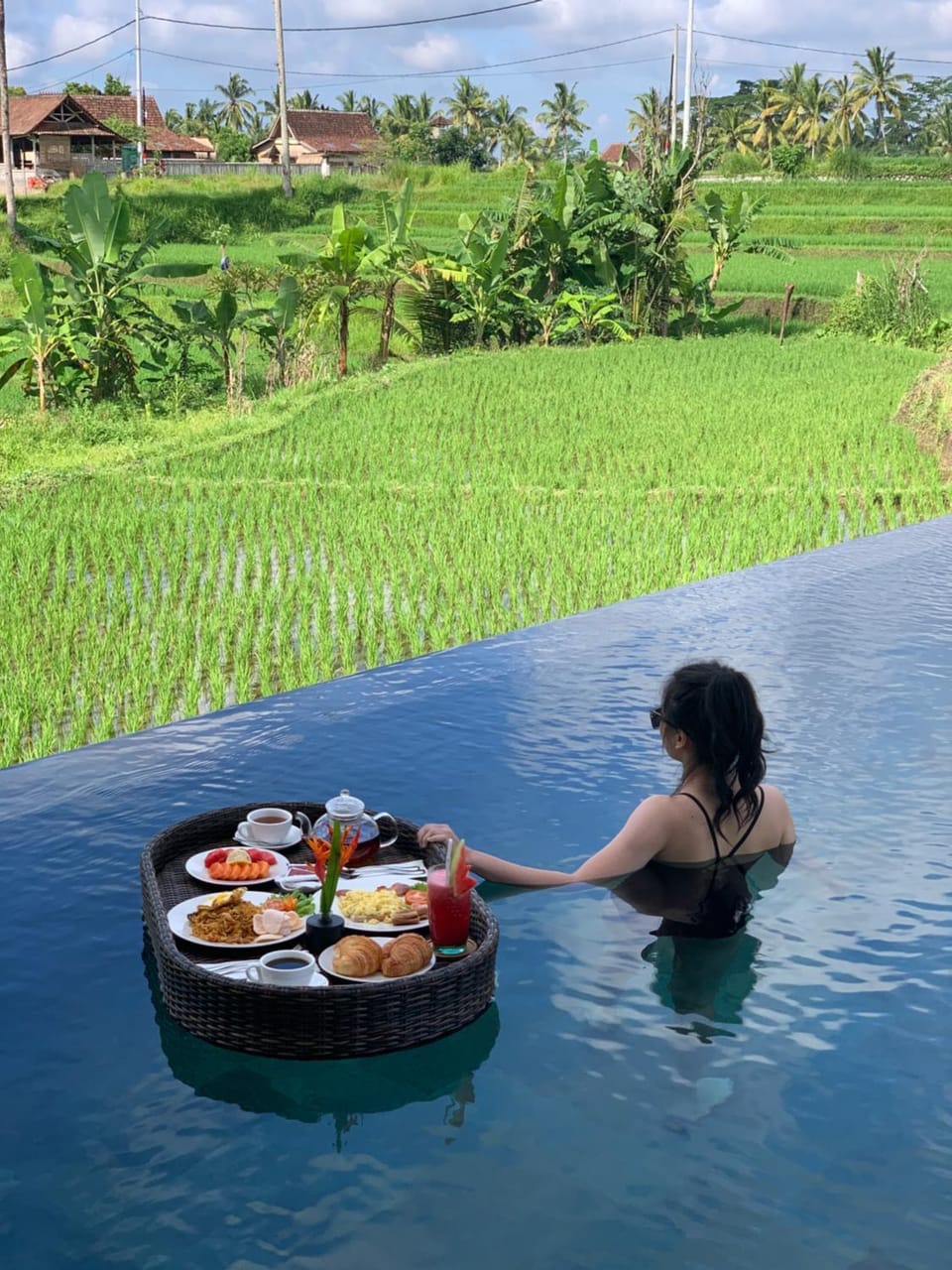 Natural landscape, Food and drinks, Food, Garden view, Pool view, Swimming pool