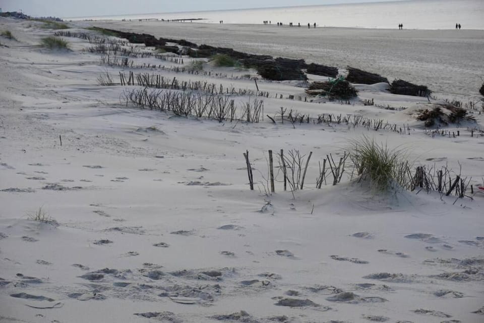 Natural landscape, Winter, Beach, Hiking