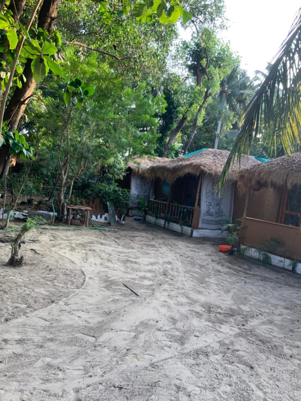 Yoga Culture Palolem Resort in Canacona