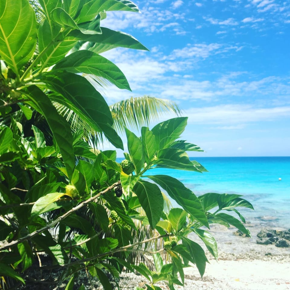 Nearby landmark, Natural landscape, Beach, Sea view, Swimming pool