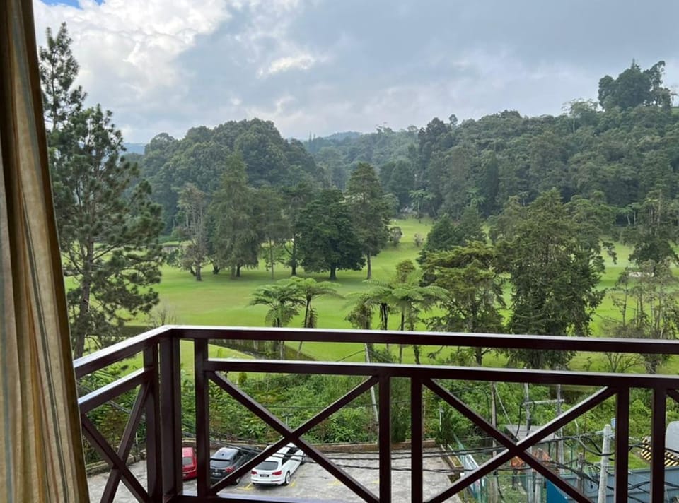 Balcony/Terrace, Garden view