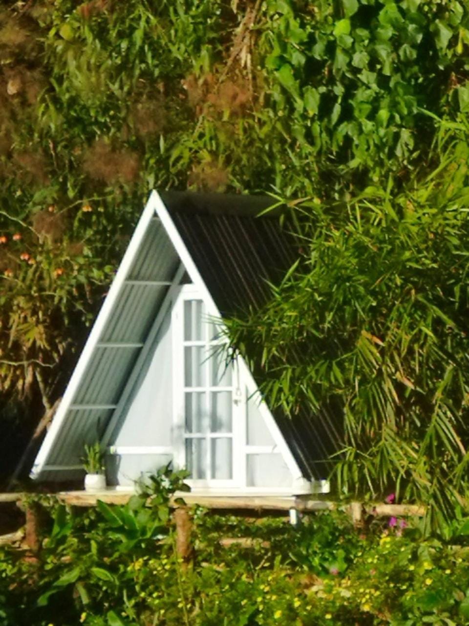 Tuyết Hoa Hòn Bồ Homestay Chalet in Dalat