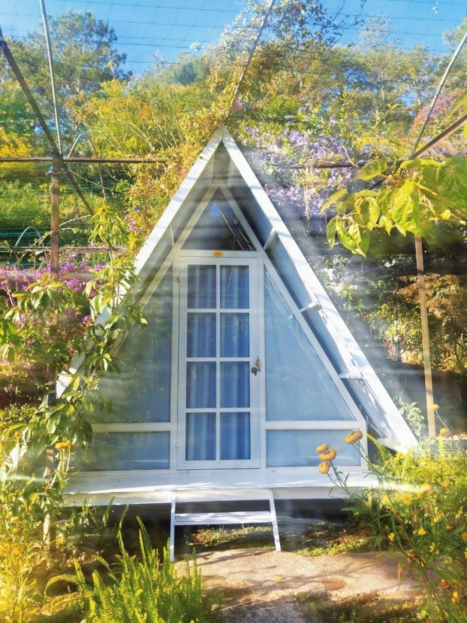 Tuyết Hoa Hòn Bồ Homestay Chalet in Dalat