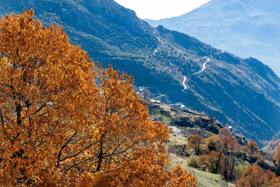Natural landscape, Hiking, Mountain view