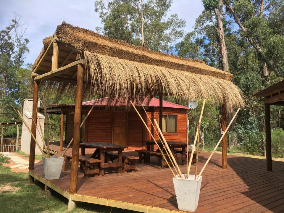 Patio, Solarium