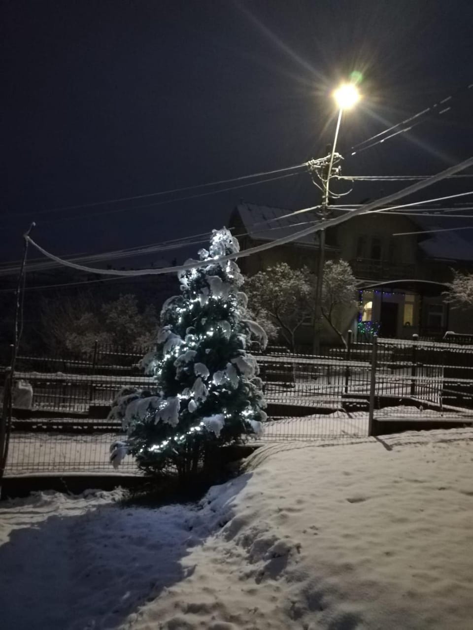 Winter