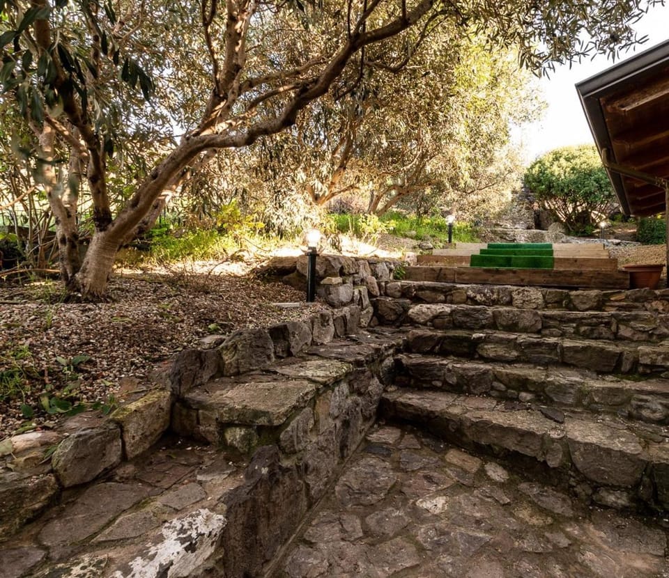 Garden, Balcony/Terrace