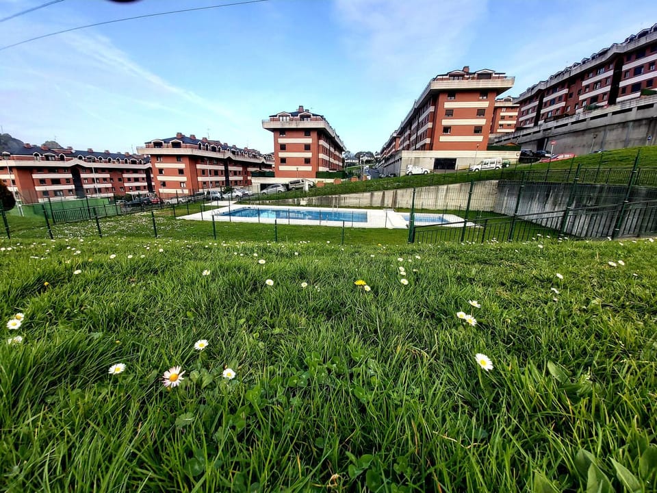 Property building, Swimming pool