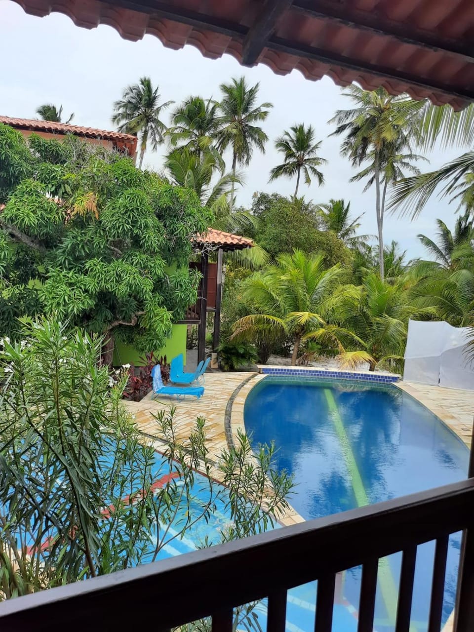 Natural landscape, Garden, Balcony/Terrace, Swimming pool, sunbed