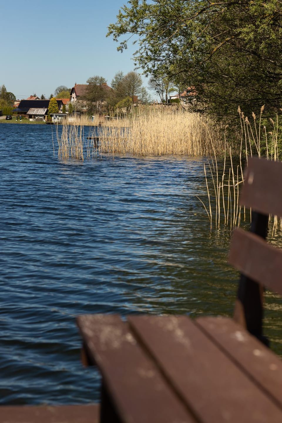 Lake view