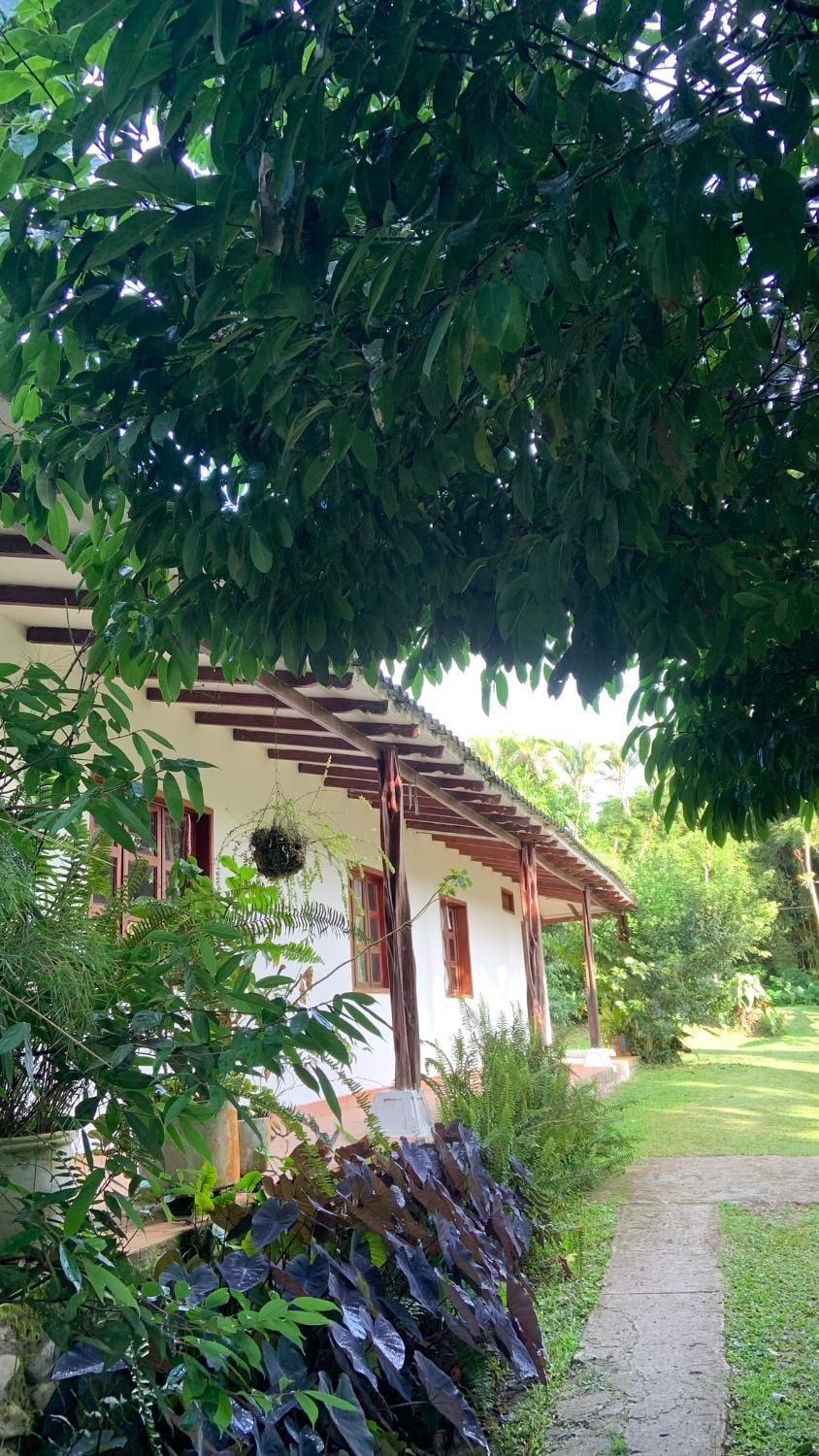 hospedaje ecopolis birds Vacation rental in Valle del Cauca