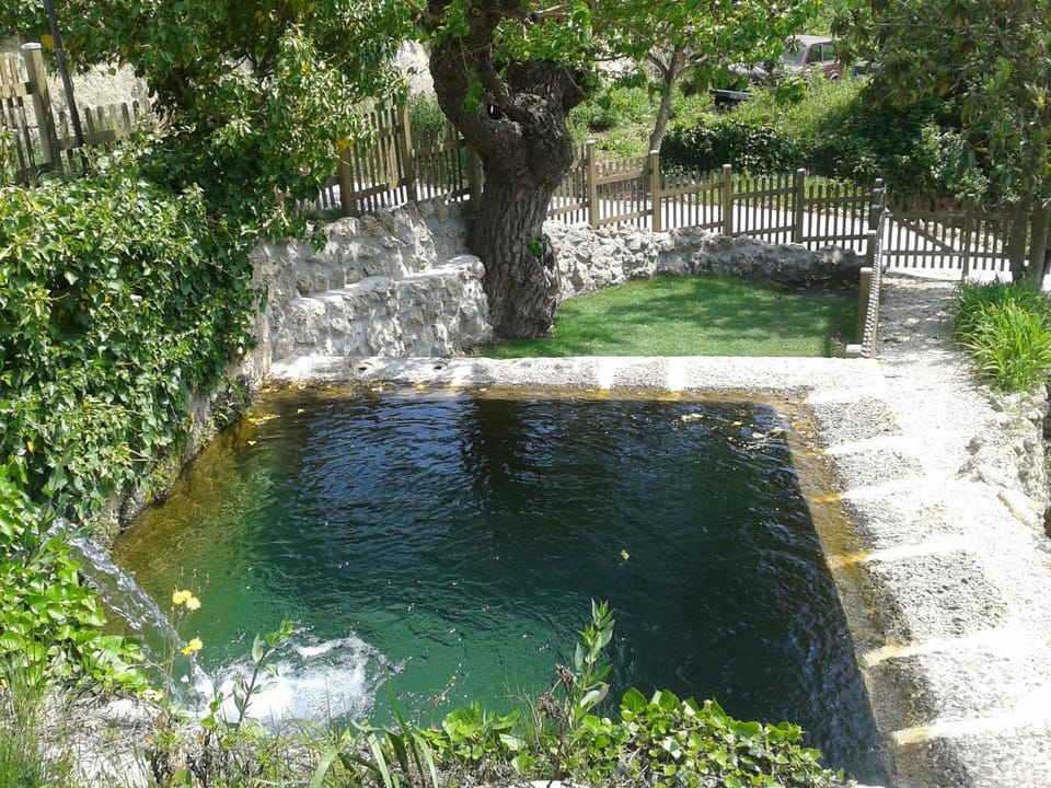 Natural landscape, Garden, View (from property/room), Garden view