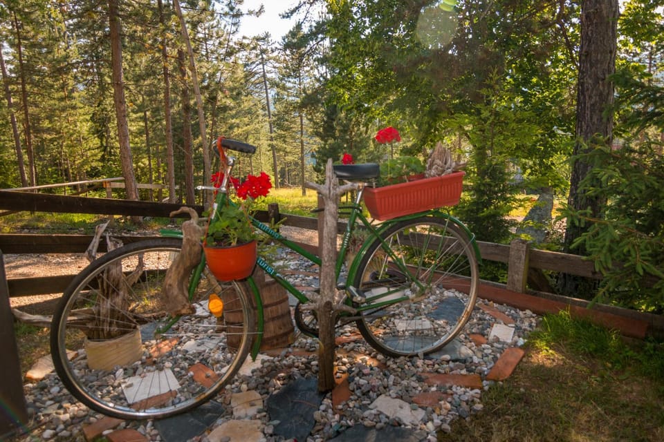 Zavicaj Zaovine2 Nature lodge in Zlatibor District, Serbia