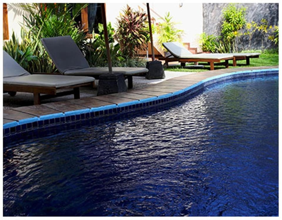 Garden, Pool view, Swimming pool