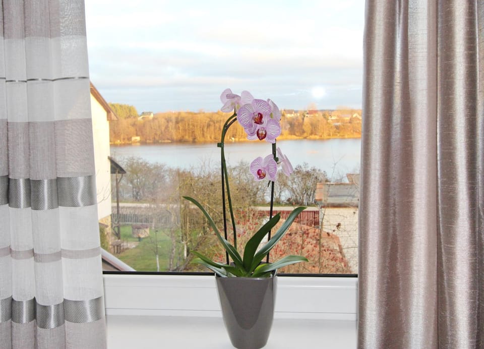 Apartments by the lake with fireplace Apartment in Vilnius County, Lithuania