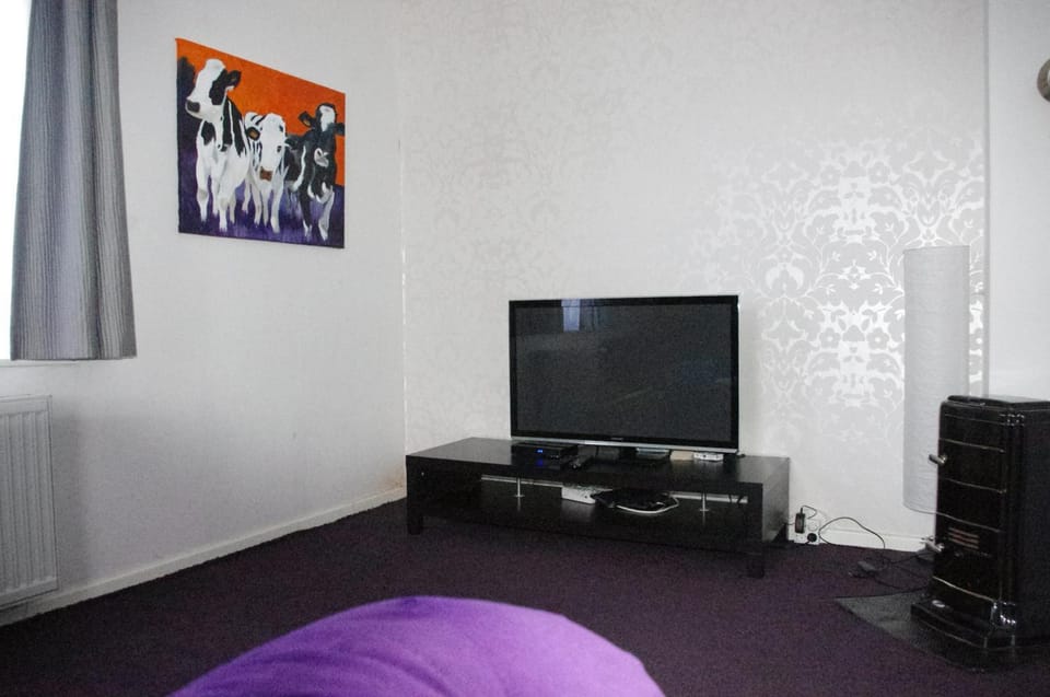 TV and multimedia