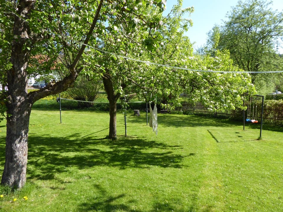 Garden, Garden, Garden view