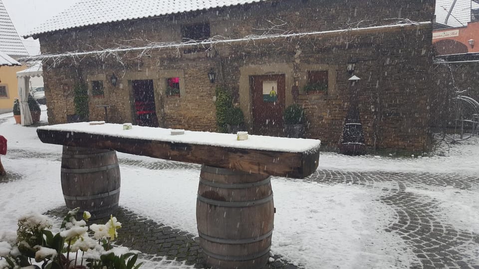 Patio, Area and facilities
