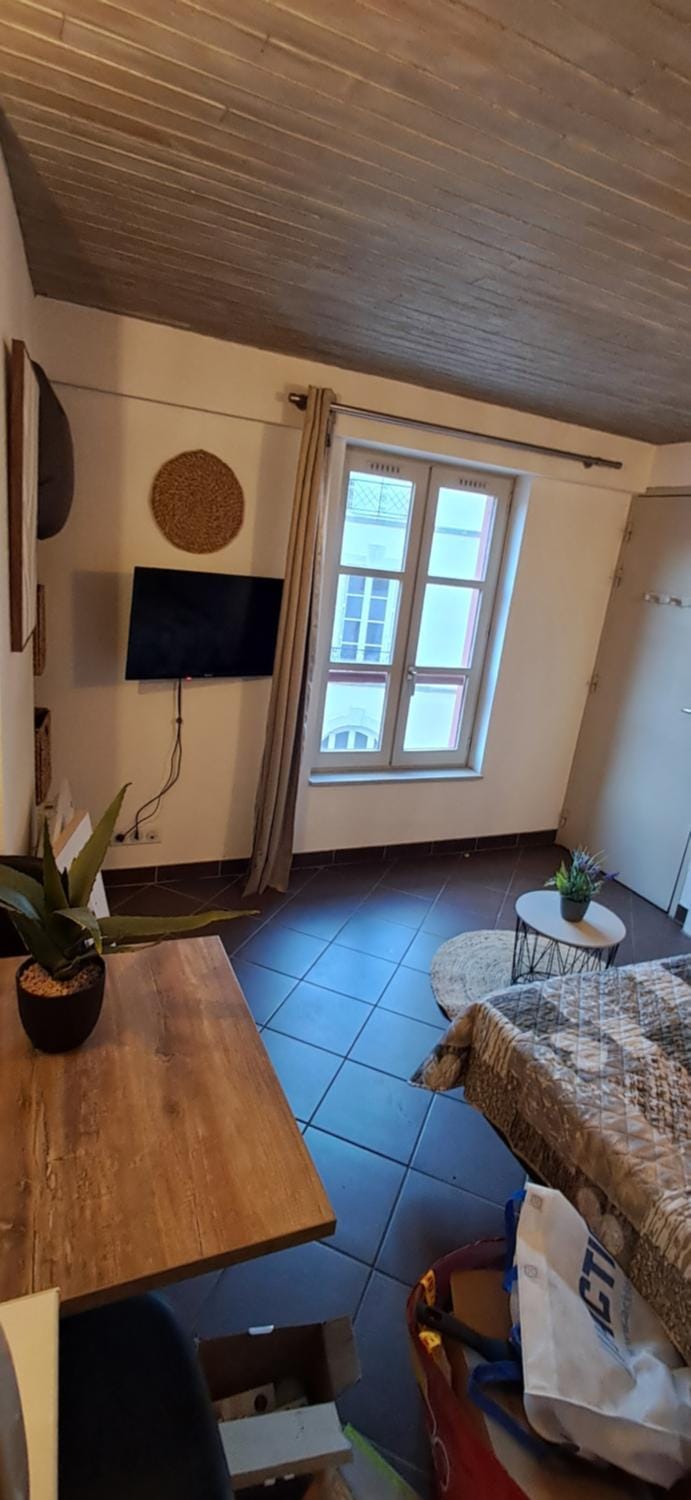 Studio cosy en centre ville Apartment in Auvergne-Rhône-Alpes