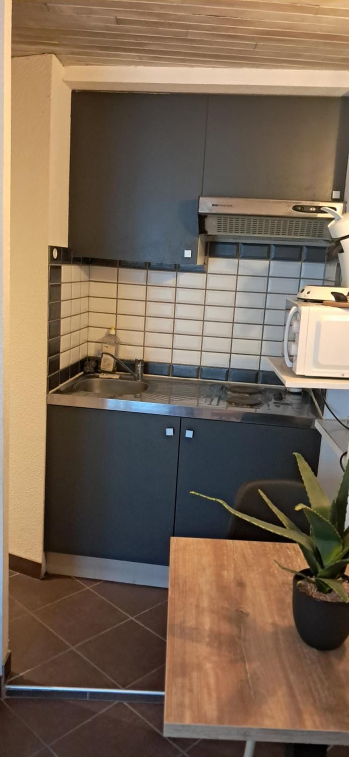 Studio cosy en centre ville Apartment in Auvergne-Rhône-Alpes