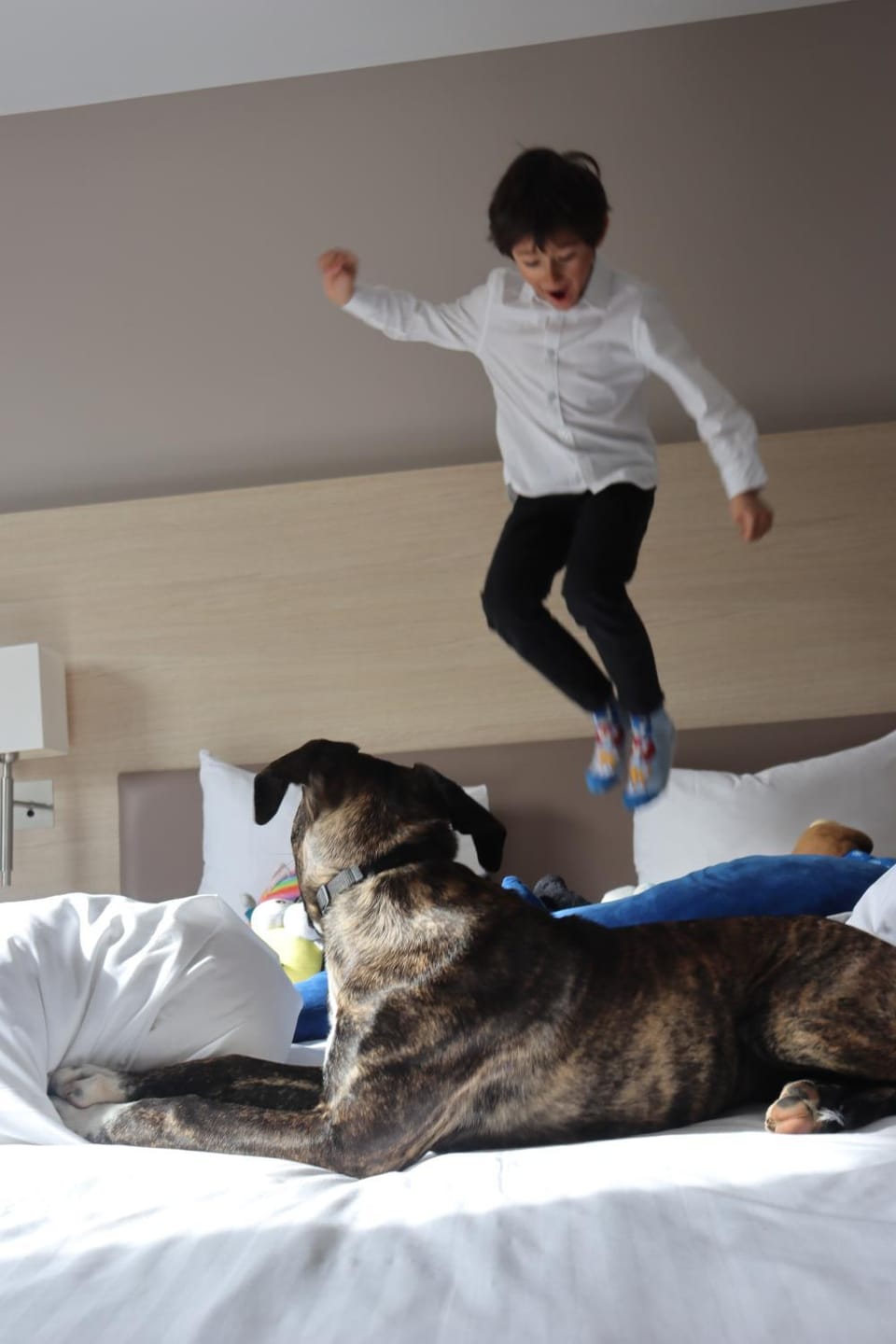 Courtyard by Marriott Paris La Defense West - Colombes Hotel in Île-de-France