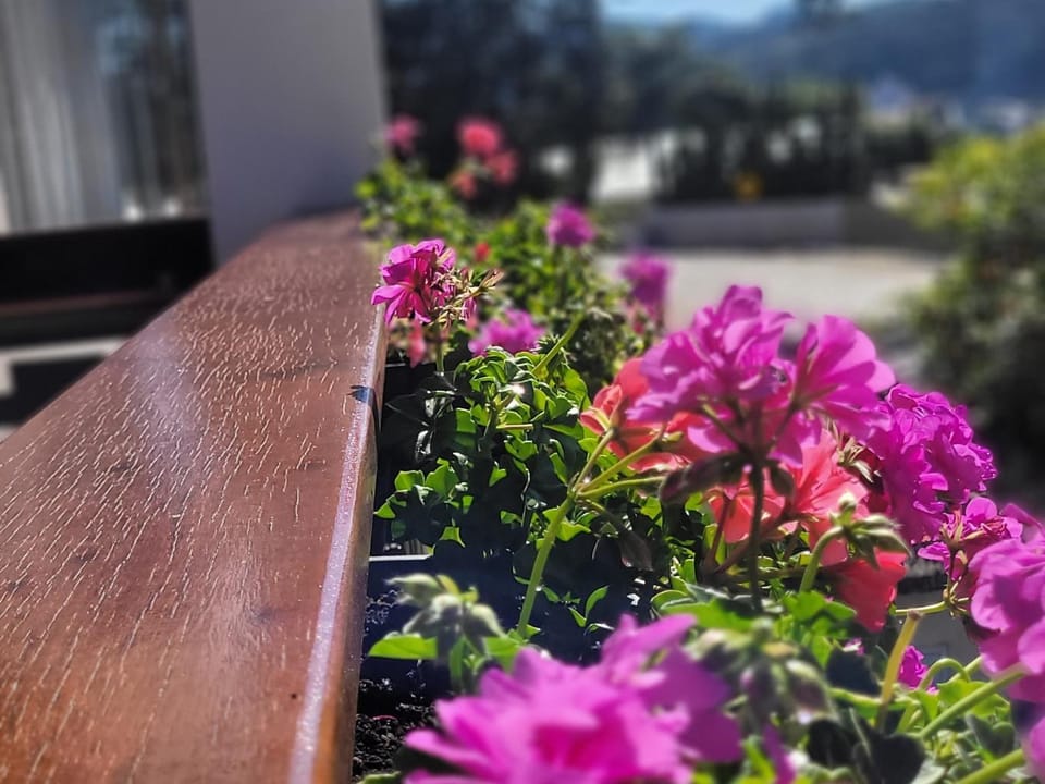 San Michael Hospedaria Apartment in State of Santa Catarina