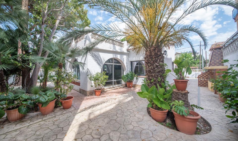 Patio, Garden, Garden view