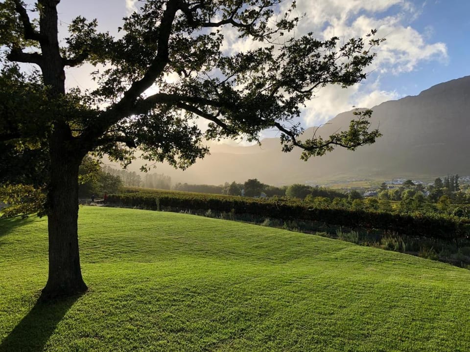 Garden, Garden view