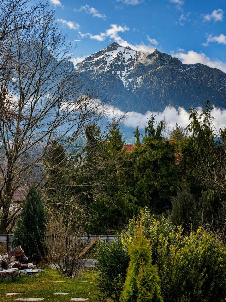 Mountain view