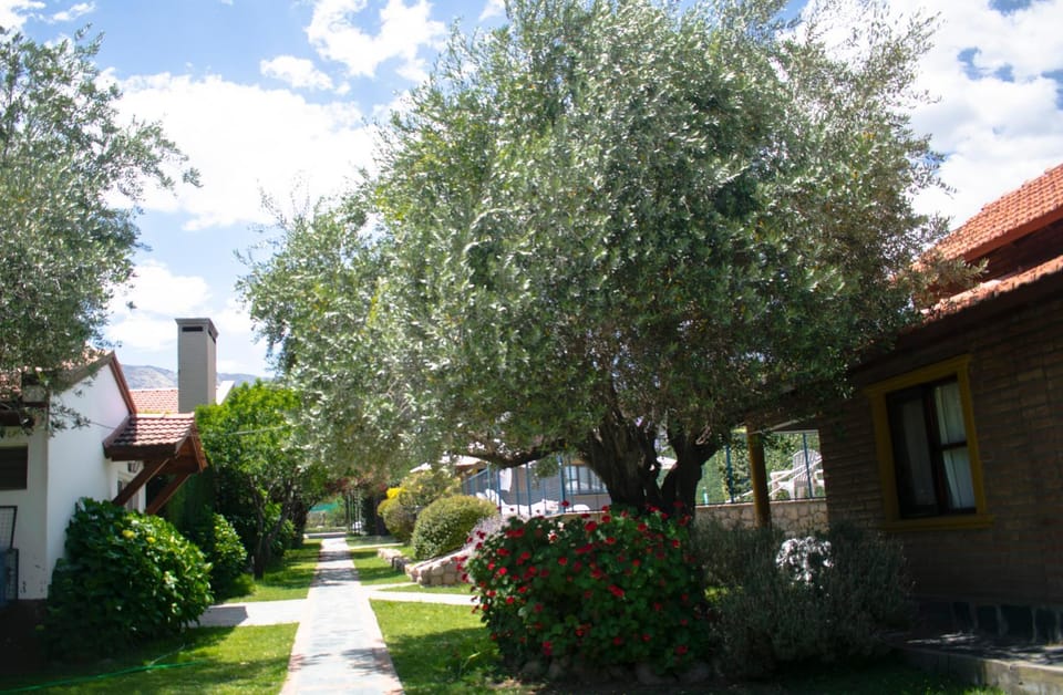 Cabañas Monteolivos Nature lodge in Villa de Merlo