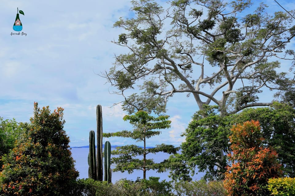 Natural landscape