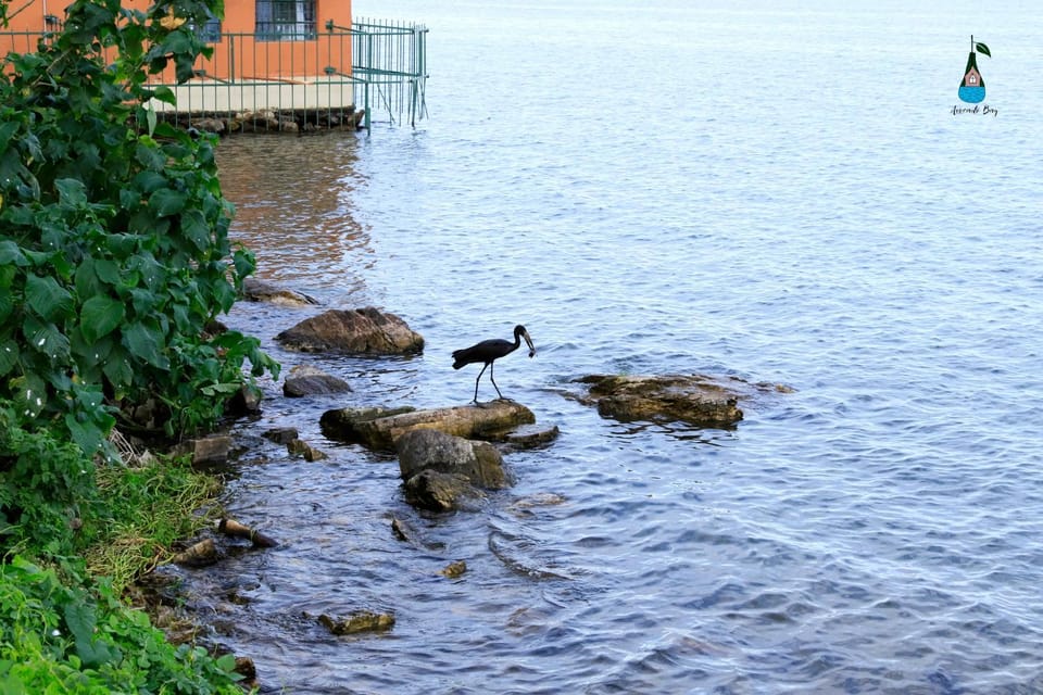 Natural landscape
